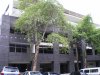 220/34-44 Stanley Street, Collingwood VIC 3066 