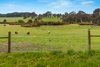 Real Estate and Property in 221 Pudding Bag Road, Drummond, VIC