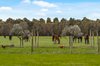 Real Estate and Property in 224 Kennedys Lane, Darraweit Guim, VIC