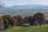 Real Estate and Property in 224 Purcells Road, Merrijig, VIC