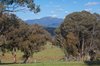 Real Estate and Property in 224 Purcells Road, Merrijig, VIC