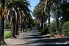 2/27 Yattenden Crescent, Baulkham Hills NSW 2153  - Photo 11
