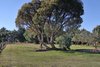 Real Estate and Property in 23 Parkes Drive, Kyneton, VIC
