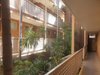 23/60 Brocks Lane, Newtown NSW 2042  - Photo 5