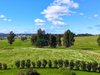 https://images.listonce.com.au/custom/l/listings/236b-clifton-west-road-wy-yung-vic-3875/731/01950731_img_01.jpg?kuXNzGRjrdU