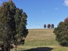 https://images.listonce.com.au/custom/l/listings/236b-clifton-west-road-wy-yung-vic-3875/731/01950731_img_09.jpg?JpIVYiHkrBA