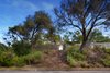 Real Estate and Property in 24 Collins Parade, Sorrento, VIC