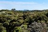 Real Estate and Property in 24 Collins Parade, Sorrento, VIC