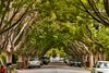 Real Estate and Property in 24 Turner Street, Malvern East, VIC