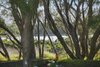 Real Estate and Property in 25 Midden Terrace, Barwon Heads, VIC