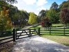 Real Estate and Property in 265 Institute Road, Carlsruhe, VIC