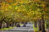 Real Estate and Property in 27 Ramsay Avenue, Kew East, VIC