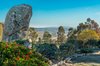 Real Estate and Property in 280 Prendergasts Road, Pastoria, VIC