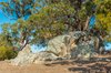Real Estate and Property in 280 Prendergasts Road, Pastoria, VIC