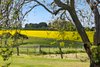 Real Estate and Property in 281 Founds Road, Drysdale, VIC