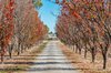 Real Estate and Property in 283 Redesdale Road, Kyneton, VIC