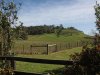 Real Estate and Property in 29 Palmer Crescent, Newham, VIC