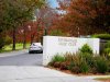 Real Estate and Property in 2/9 Vannam Drive, Ashwood, VIC