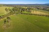290 Old South Road, Alpine NSW 2575  - Photo 3
