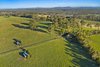 290 Old South Road, Alpine NSW 2575  - Photo 4