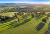 290 Old South Road, Alpine NSW 2575  - Photo 8