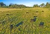290 Old South Road, Alpine NSW 2575  - Photo 13