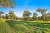 290 Old South Road, Alpine NSW 2575  - Photo 15