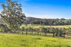 290 Old South Road, Alpine NSW 2575  - Photo 18