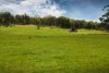 Real Estate and Property in 292 Chapmans Road, Toolern Vale, VIC