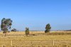 Real Estate and Property in 2939 Romsey Road, Chintin, VIC