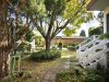 Real Estate and Property in 3 Nicholls Road, Ormond, VIC
