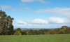Real Estate and Property in 302 Mount Charlie Road, Riddells Creek, VIC