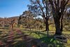 Real Estate and Property in 302 Mount Charlie Road, Riddells Creek, VIC