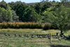 Real Estate and Property in 31 Pyrete Road, Bullengarook, VIC