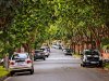 Real Estate and Property in 31 Wiseman Street, Hawthorn East, VIC