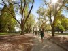 Real Estate and Property in 3/110 Burke Road, Malvern East, VIC