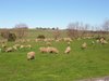 Real Estate and Property in 32-40 Church Road, Bellarine, VIC