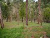 Real Estate and Property in 32 Heads Road, Donvale, VIC