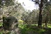 Real Estate and Property in 32 Perc Boyer Road, Pastoria East, VIC