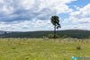 https://images.listonce.com.au/custom/l/listings/3235-bairnsdale-dargo-road-glenaladale-vic-3864/281/01899281_img_30.jpg?OW1lRoQqFSg