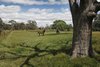 Real Estate and Property in 329 Edgecombe Road, Kyneton, VIC