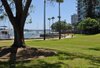 3/29 Ithaca Road, Elizabeth Bay NSW 2011  - Photo 5
