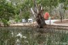 Real Estate and Property in 33 Crombie Road , Macedon, VIC