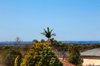 34 Marion Street, Gymea NSW 2227  - Photo 6