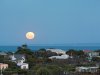 Real Estate and Property in 34 William Buckley Way, Sorrento, VIC
