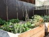 Real Estate and Property in 35 Vautier Street, Elwood, VIC