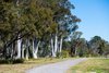 3510 Old Hume Highway, Berrima NSW 2577  - Photo 22