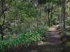 Real Estate and Property in 36 Anzac Road, Mount Macedon, VIC