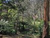 Real Estate and Property in 36 Anzac Road, Mount Macedon, VIC