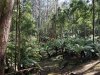 Real Estate and Property in 36 Anzac Road, Mount Macedon, VIC